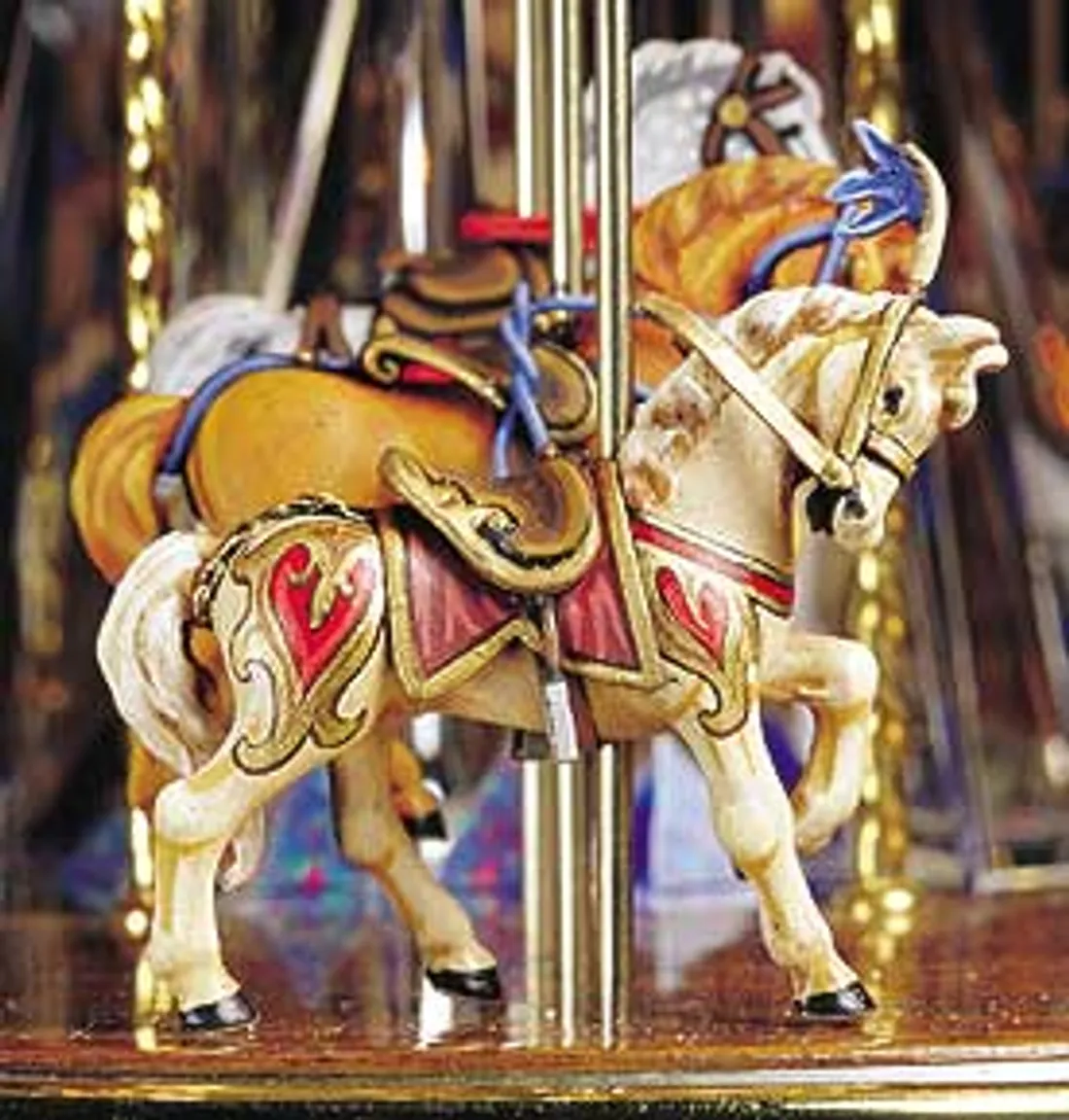 A single horse